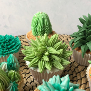 Succulent Cupcakes - Handmade Festival