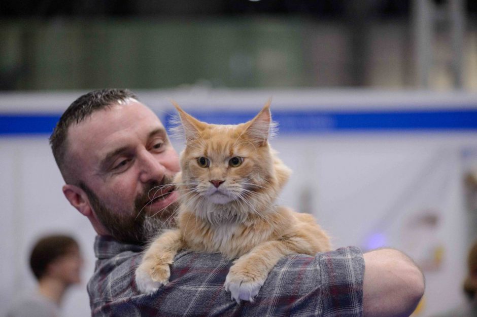 Cat and Owner - National Pet Show